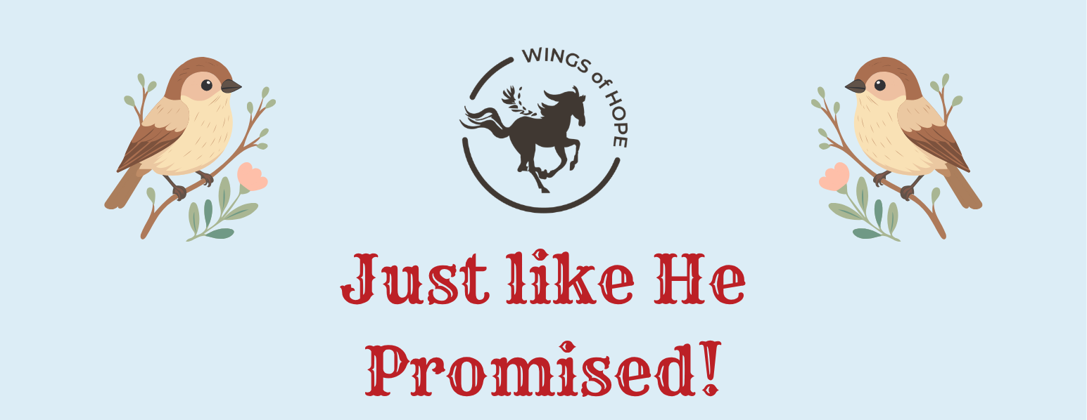 Spring Celebration Mane Attraction